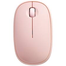 computer mouse