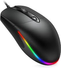 computer mouse